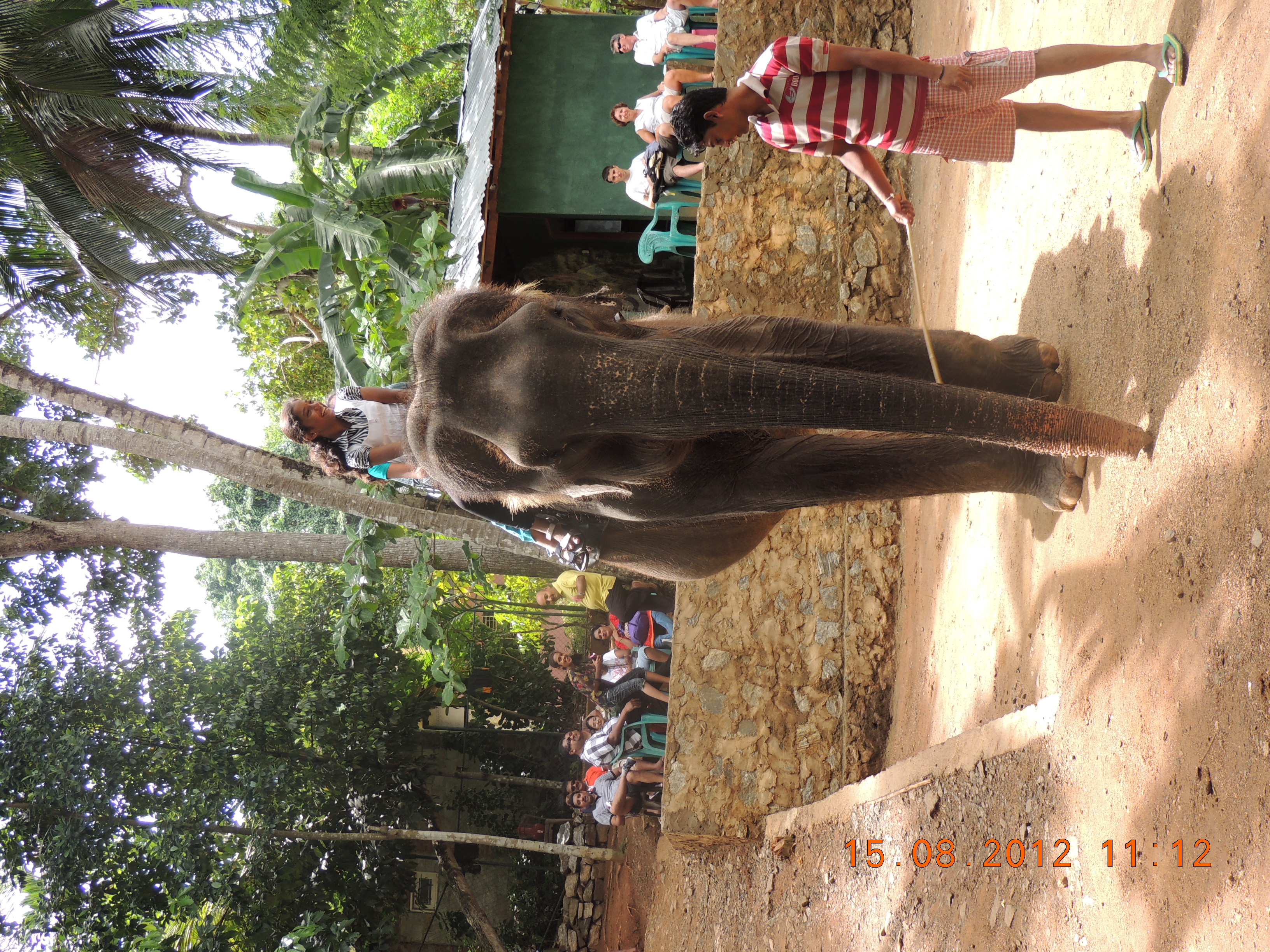 DSCN1296